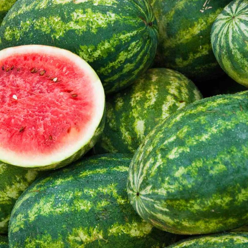 Watermelon Station Test Product Master